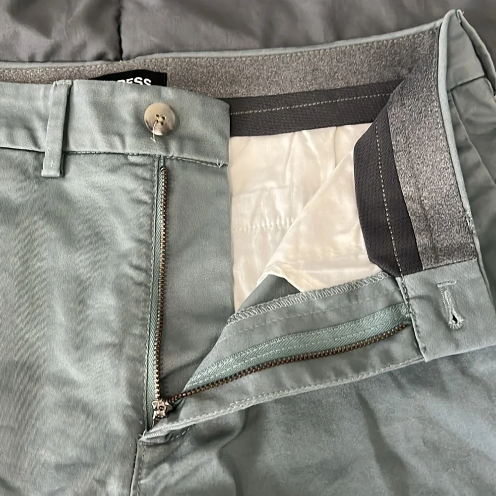 Express Chino Shorts Gray Size 31
